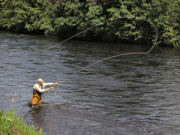 Loch Lomond Angling School